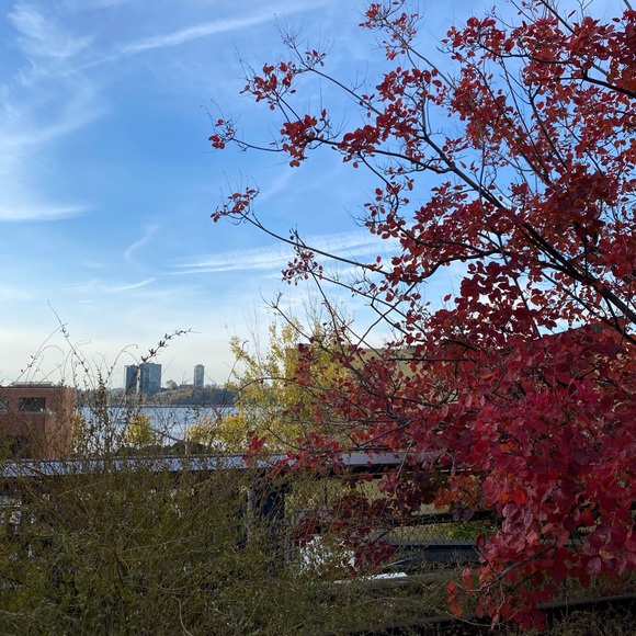 💖Welcome to Bella’s closet💖 - Picture 1 of 1